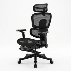 Flex Ergonomic Chair