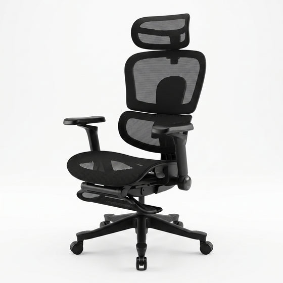Flex Ergonomic Chair