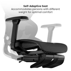 Arc Ergonomic Chair