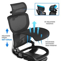 Arc Ergonomic Chair
