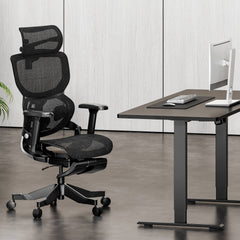 Arc Ergonomic Chair