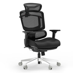 Ascent Ergonomic Chair