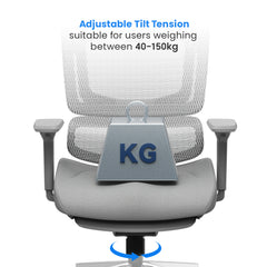 Ascent Ergonomic Chair