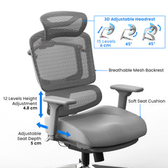 Ascent Ergonomic Chair