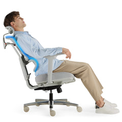 Ascent Ergonomic Chair