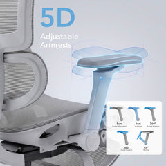 Flex Ergonomic Chair