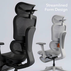 Flex Ergonomic Chair