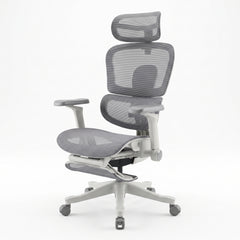 Flex Ergonomic Chair