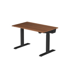 Arc Pro Standing Desk [V2]