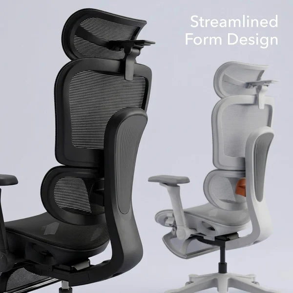 Flex Ergonomic Chair in black and gray
